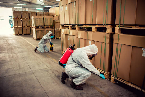 Best Exterminator Services  in Five Points, OH