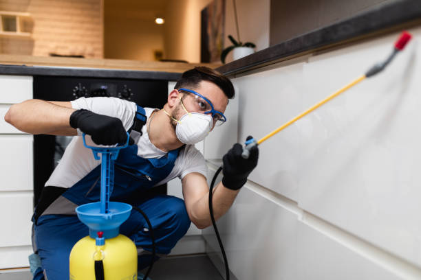 Best Affordable Pest Control Services  in Five Points, OH