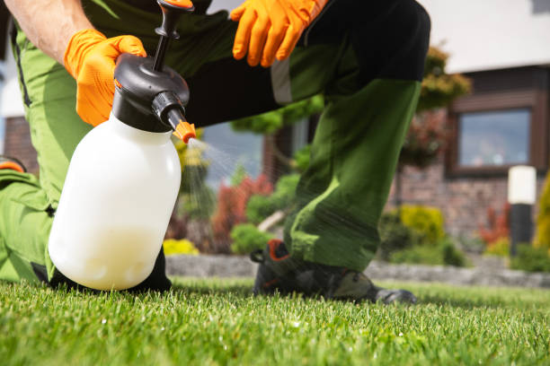 Professional Pest Control in Five Points, OH