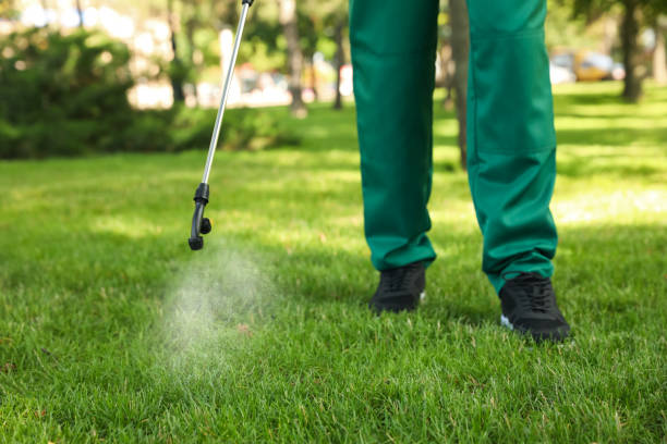 Best Best Pest Control Companies  in Five Points, OH