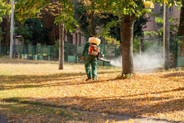 Best Pest Prevention Services  in Five Points, OH