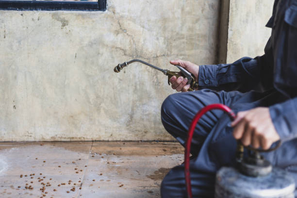 Best Local Pest Control Services  in Five Points, OH